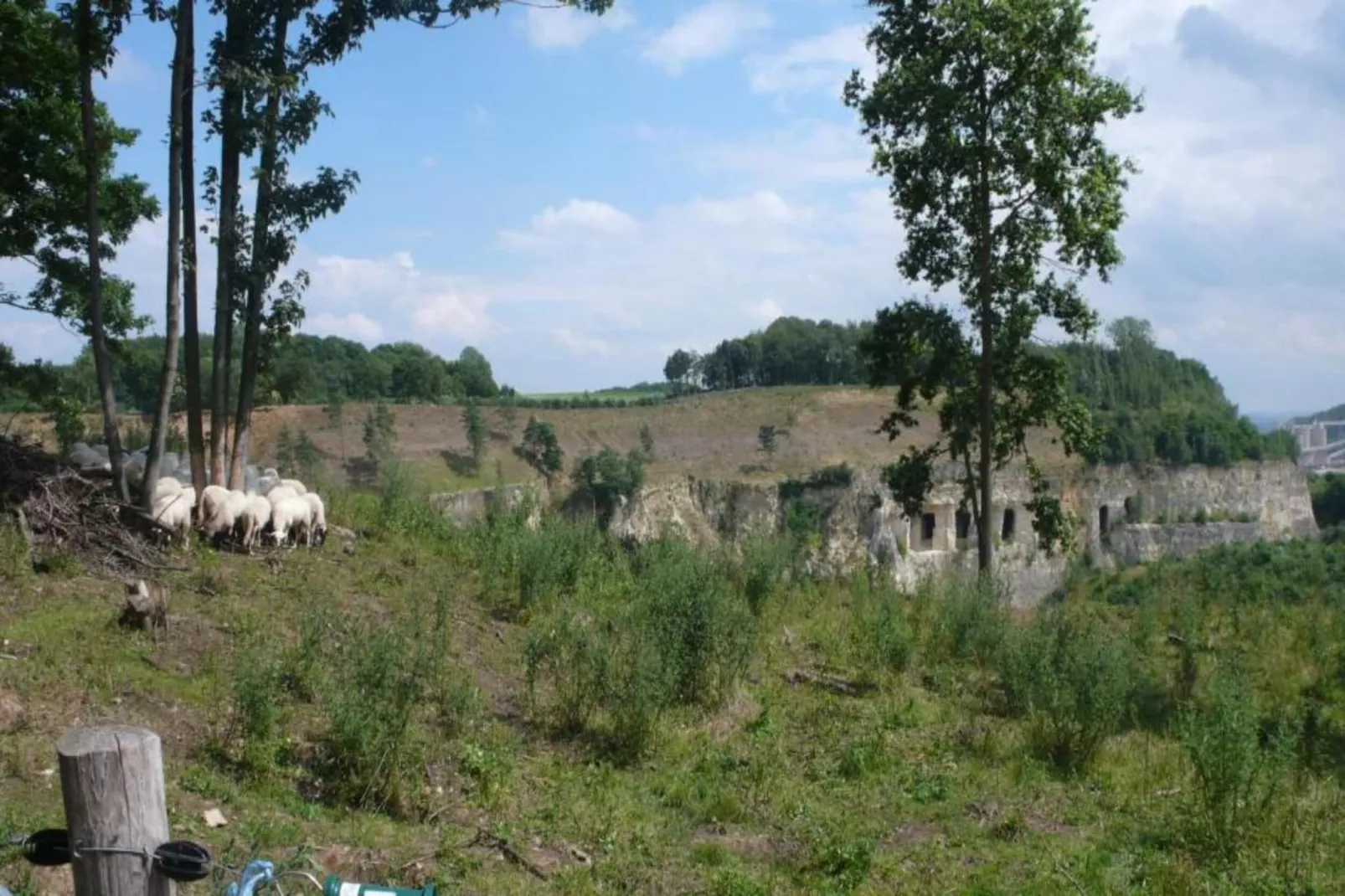 Resort Maastricht 41-Gebieden zomer 20km