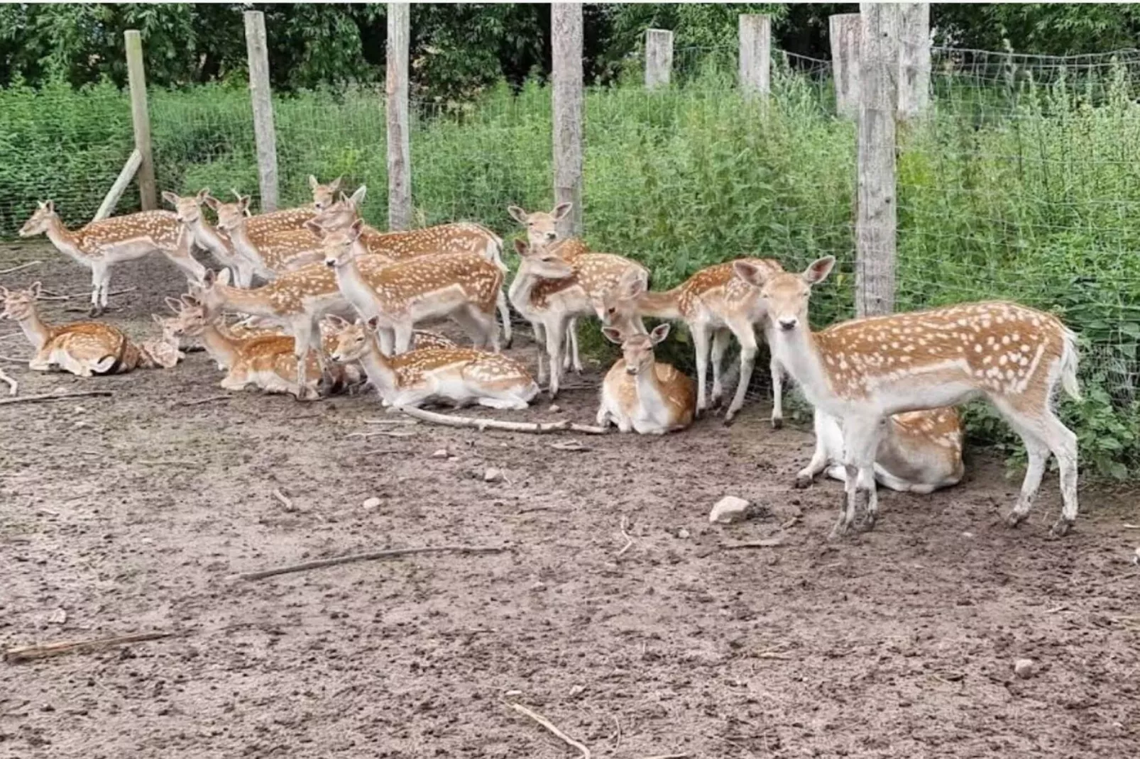 4 persoons vakantie huis in Grevinge-By Traum-Niet-getagd