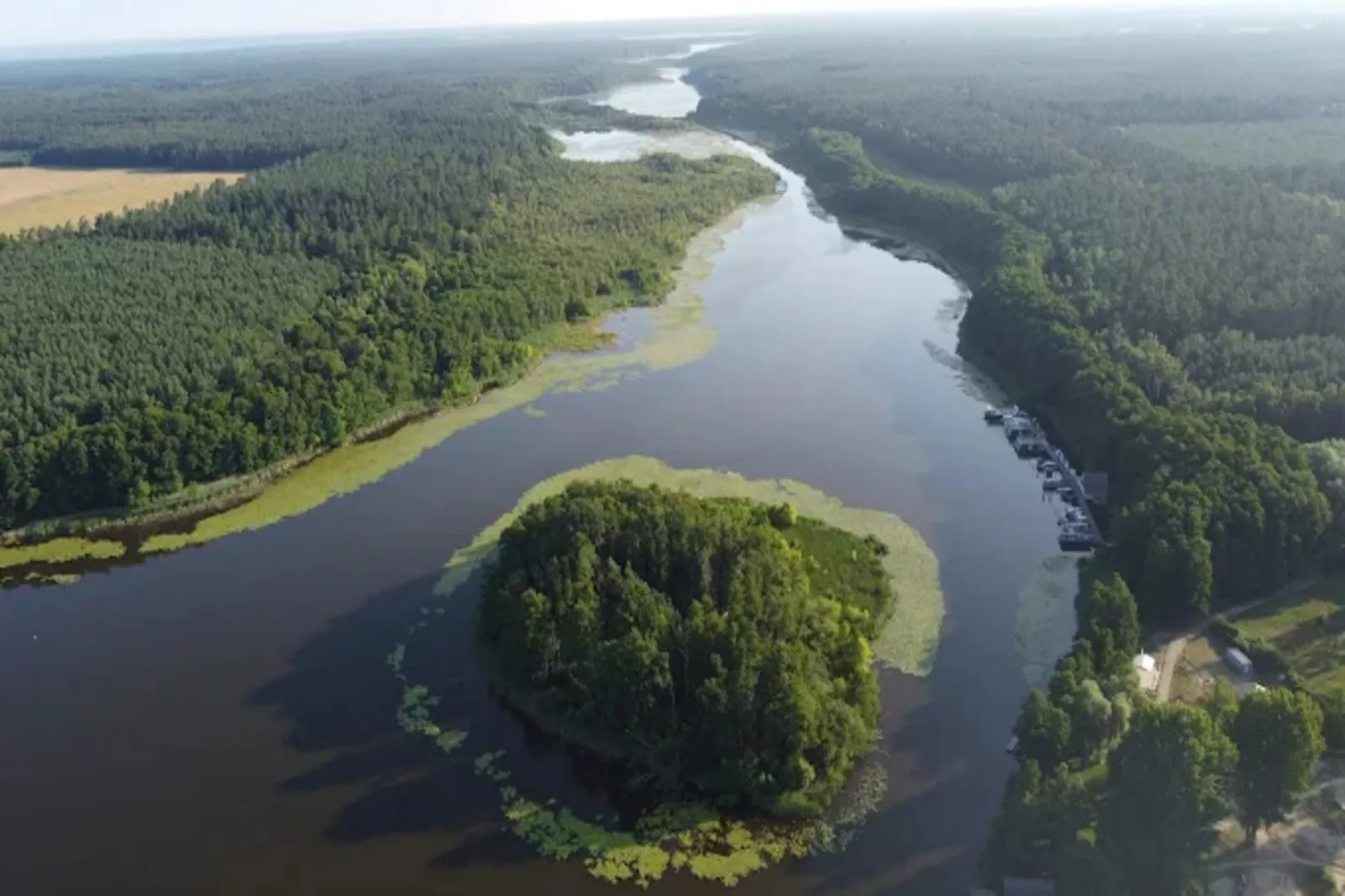 Reiher 18-Gebieden zomer 1km