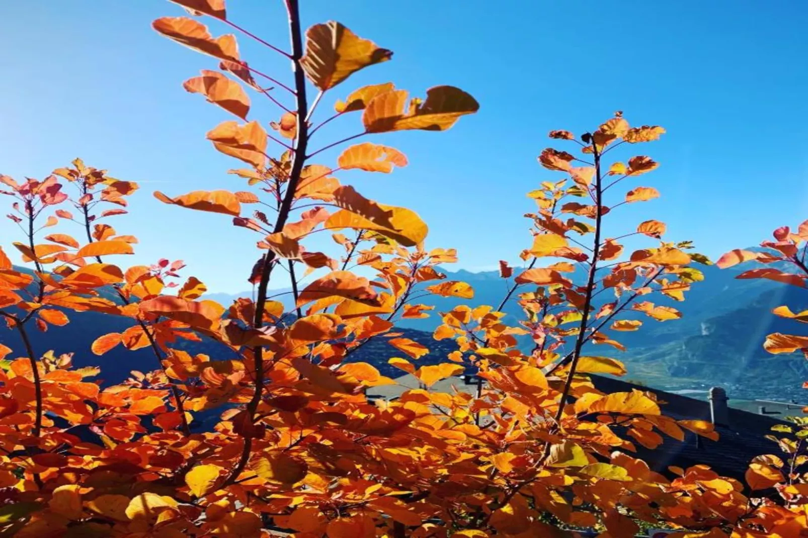 Fontanettaz V 014 - MOUNTAIN apartment 4 pers-Gebieden zomer 20km