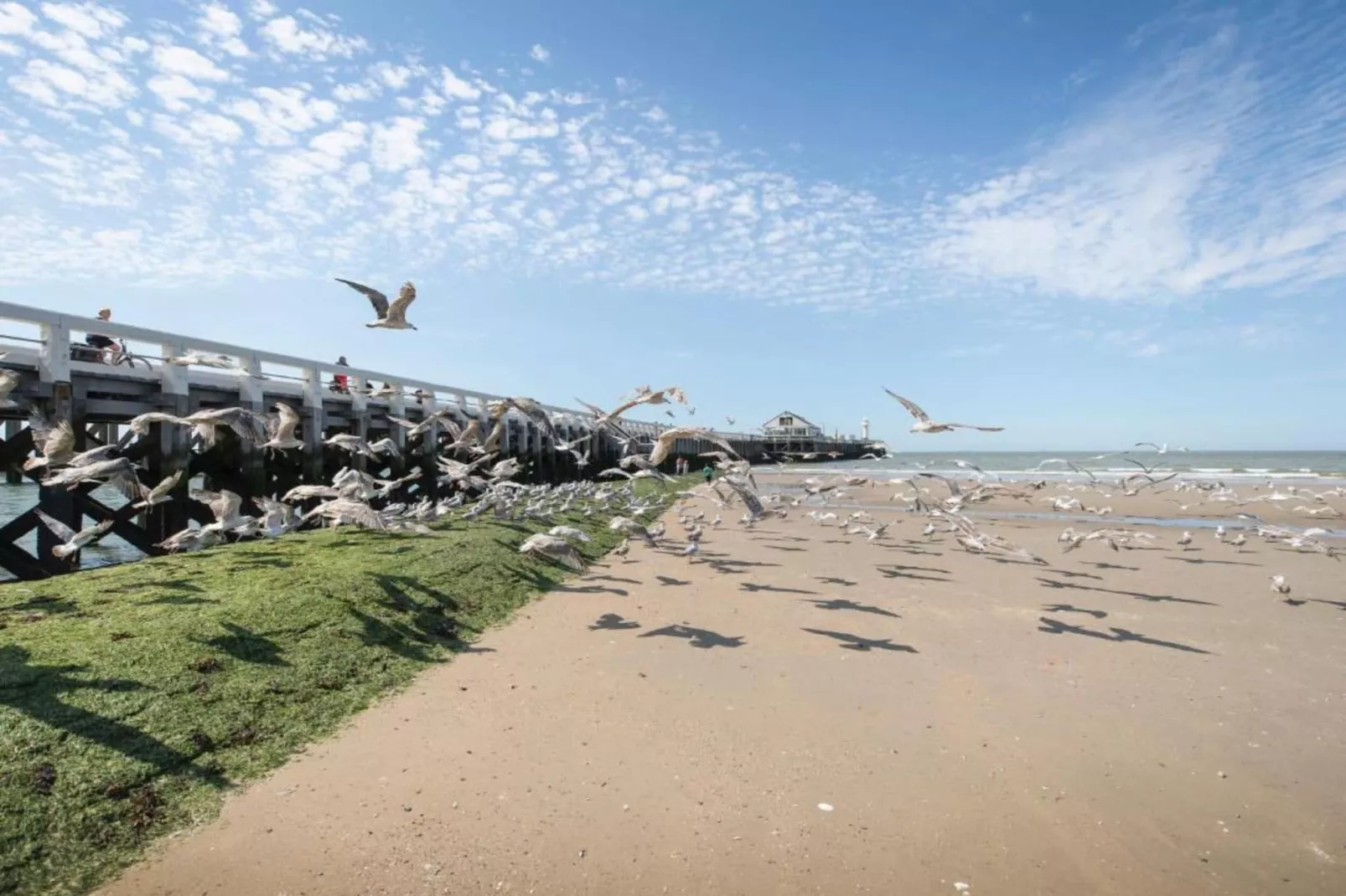 LUXEMBOURG - 8TH-Gebieden zomer 1km