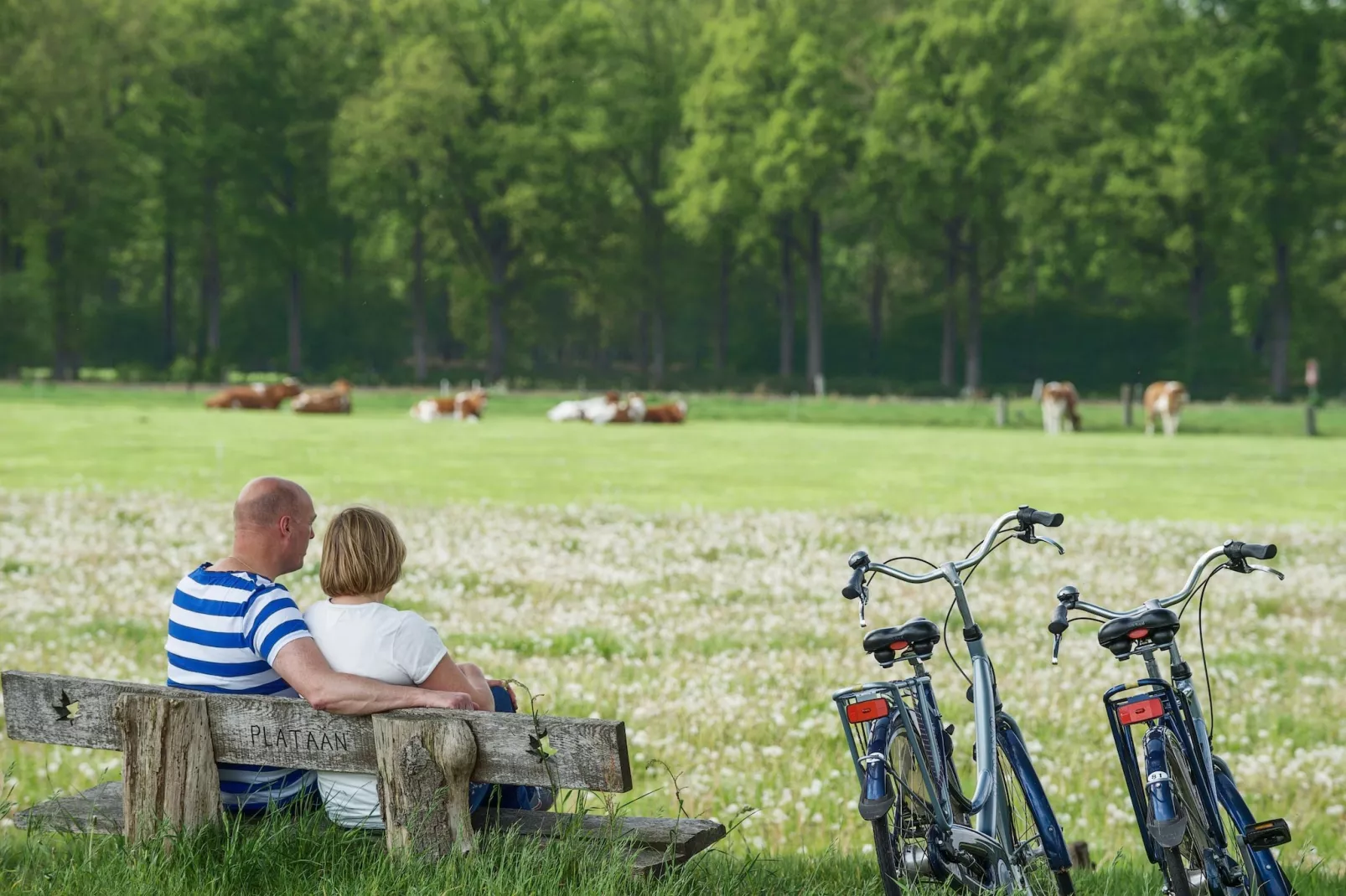 Holiday home 6 persons - Gebieden zomer 5km
