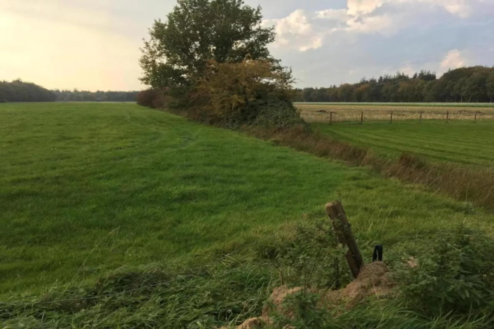 Boerderijchalet nr1-Gebieden zomer 20km