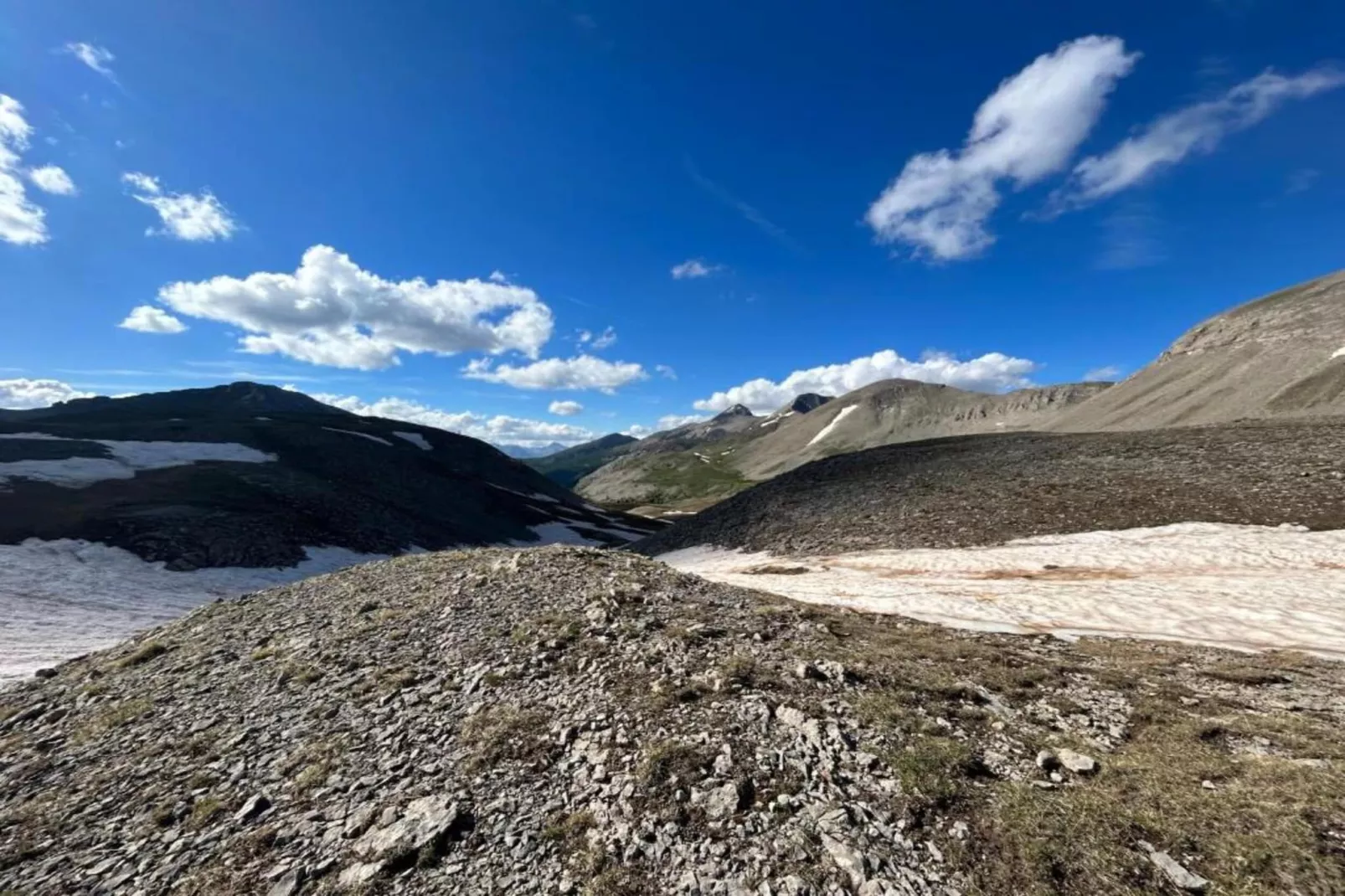 Central Park N°316 - 3P6-Gebieden zomer 20km