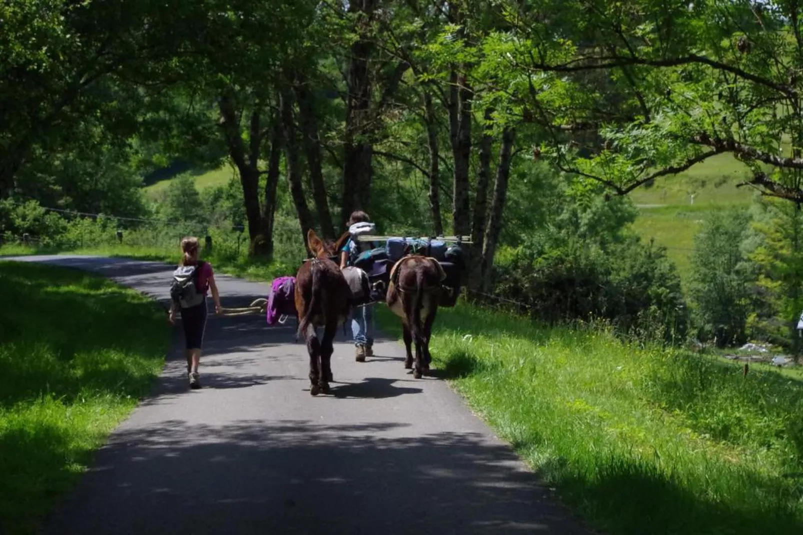 Wooden chalet-Gebieden zomer 20km