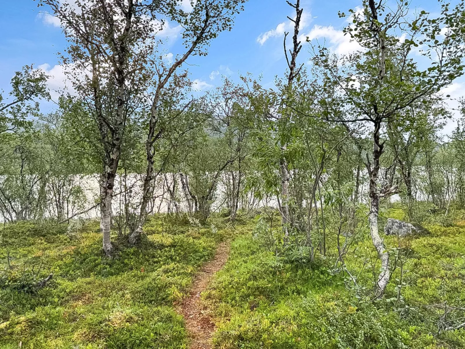 Willa kiiruna-Binnen