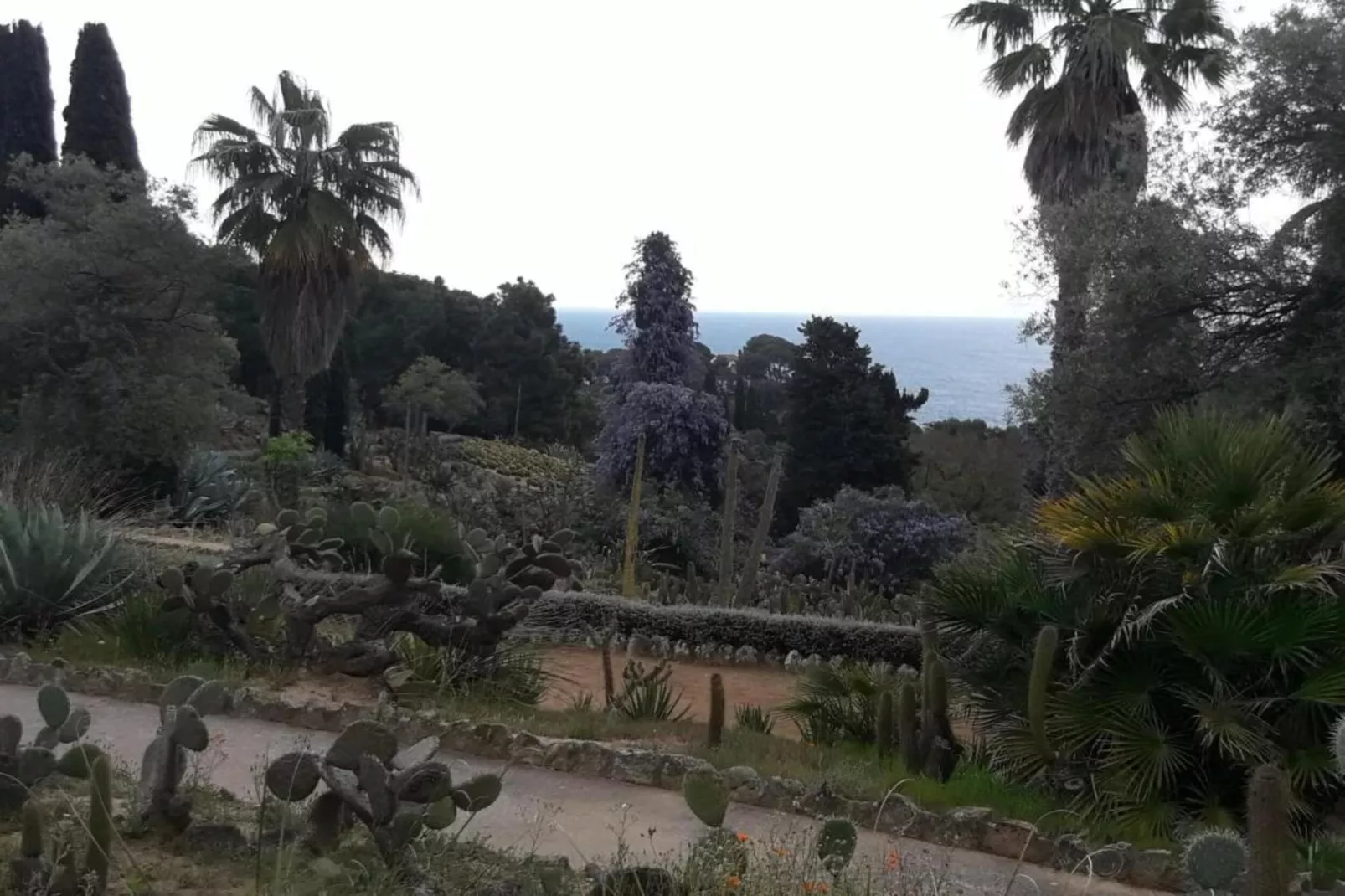 Cipresos 10pax - Gebieden zomer 20km