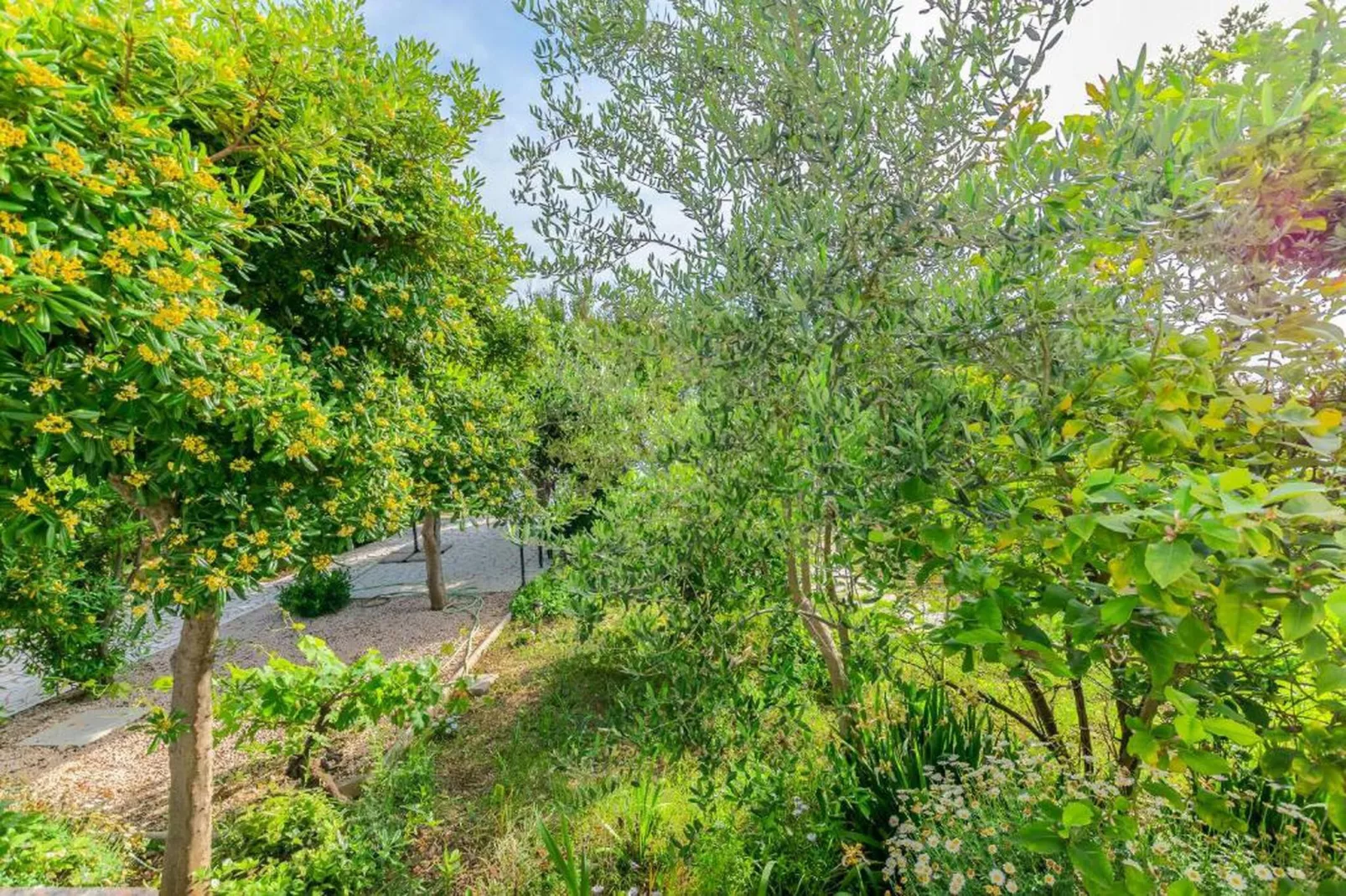 Max - Sea View, One Bedroom Apt with Terrace-Gebieden zomer 20km