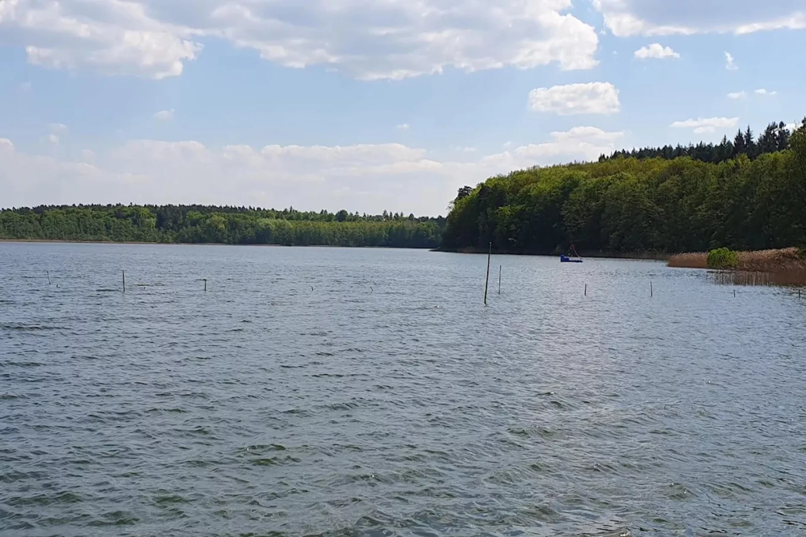 Ferienwohnung Weitblick-Gebieden zomer 5km