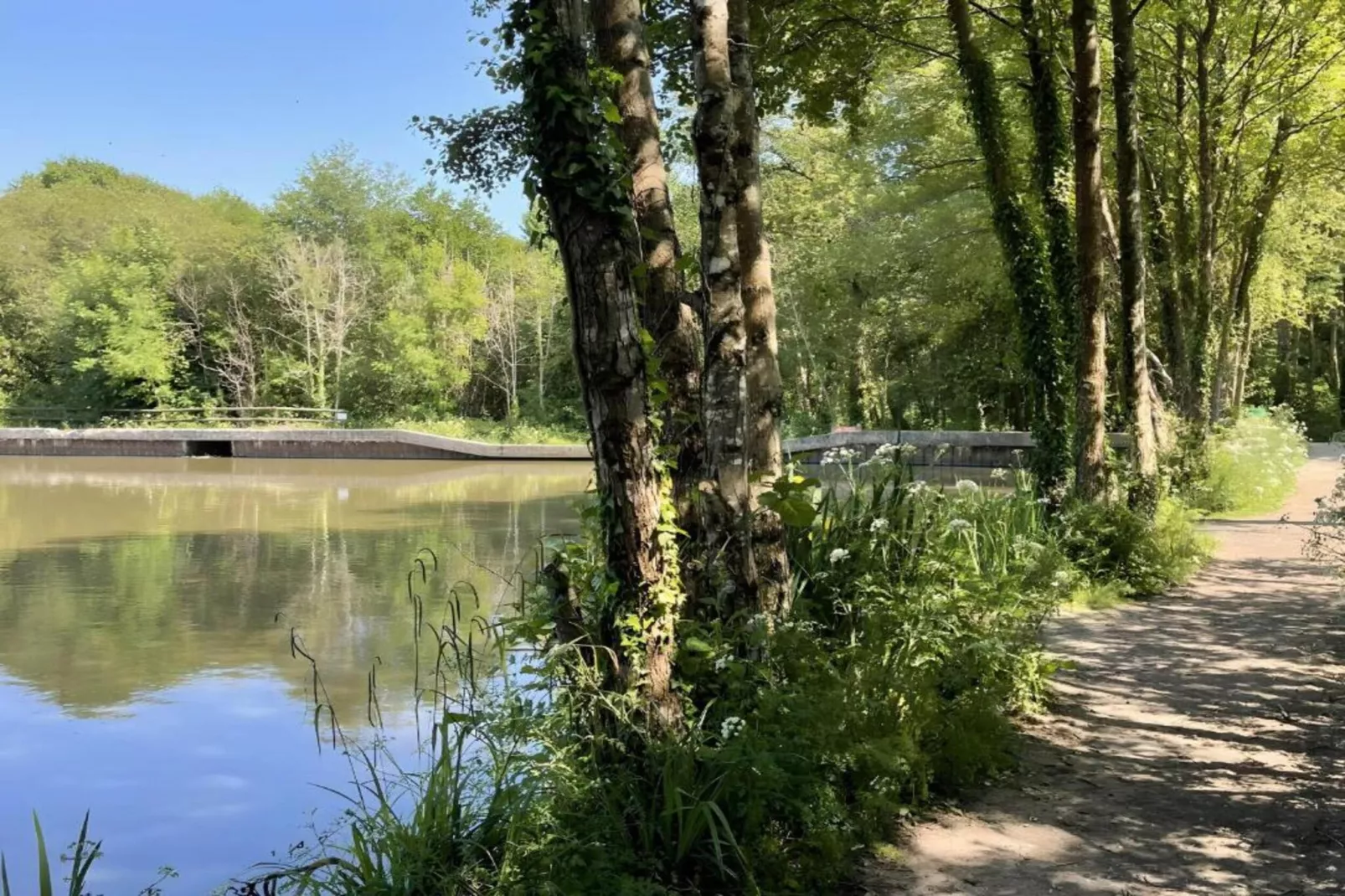 Wakehurst Luxury Dome-Gebieden zomer 5km