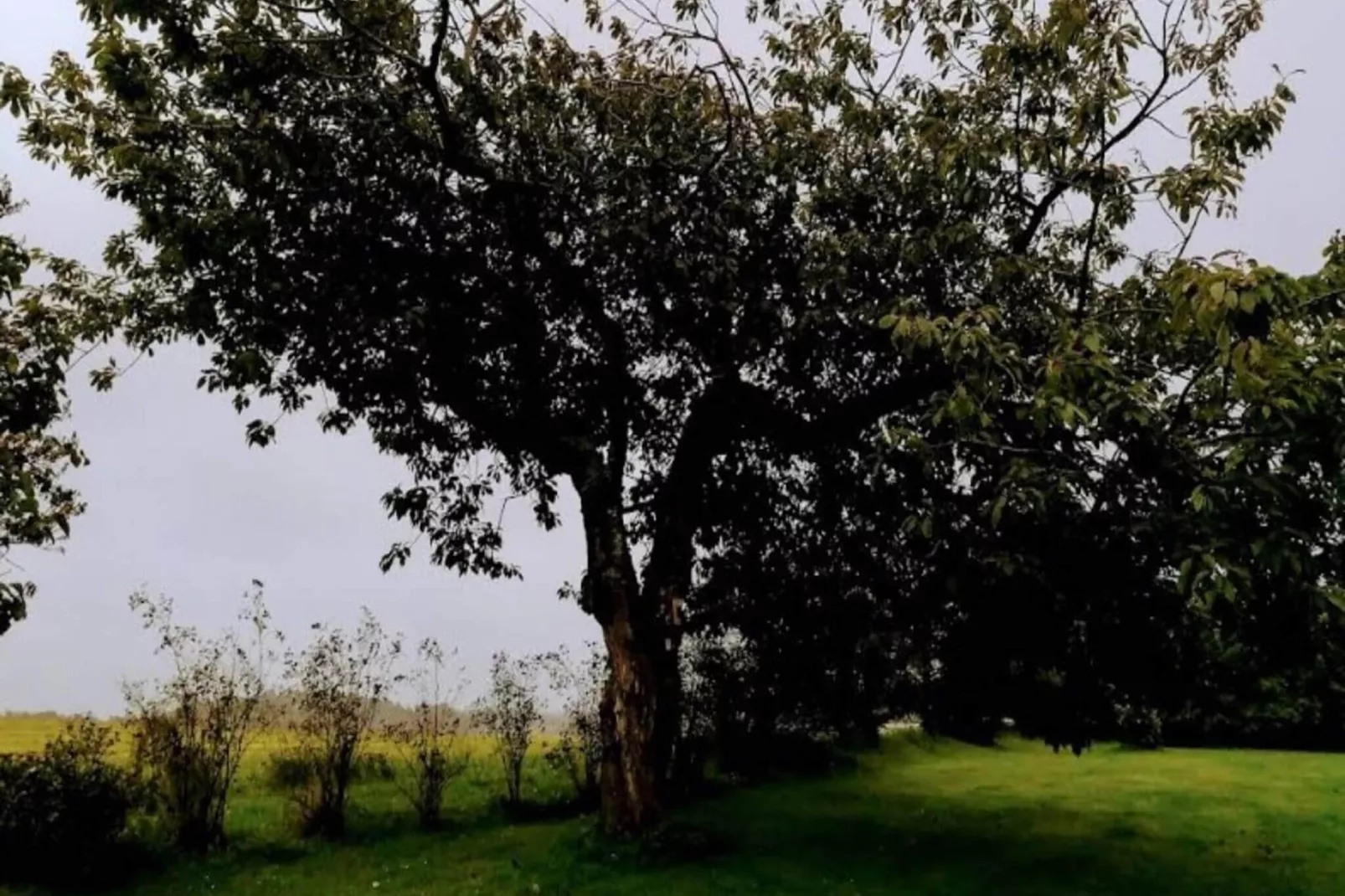 5 sterren vakantie huis in Løkken-Buitenlucht