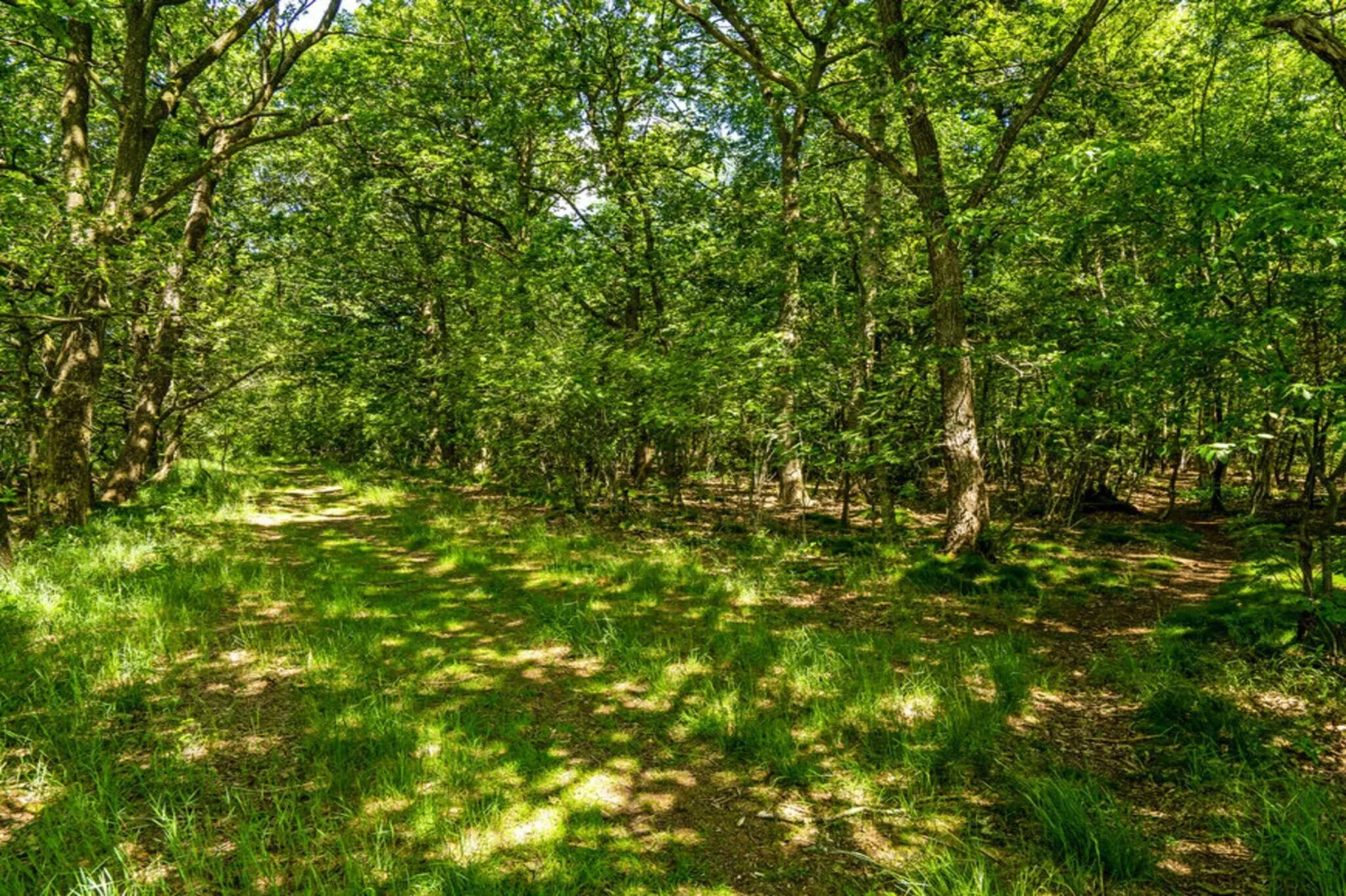 4 sterren vakantie huis in Hampen-Buitenlucht