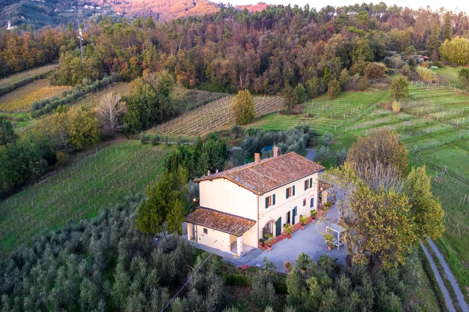 Amore Farmhouse Retreat-Niet-getagd