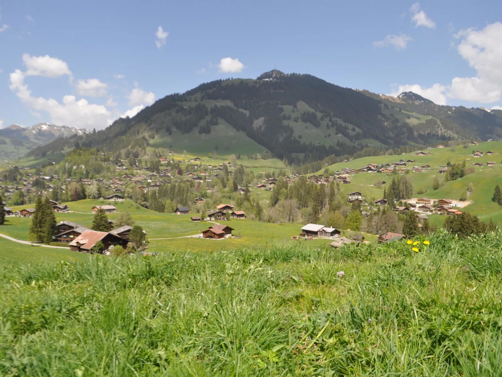 Alpenchalet Spiher Parterre-Binnen