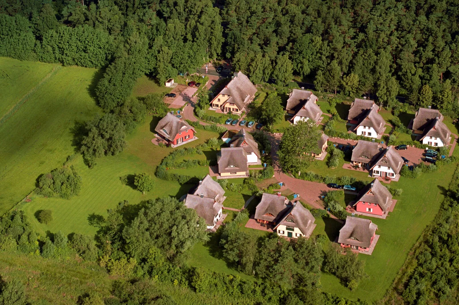 Ferienhaus Küstenwald klein - Strandhotel Fischland-Buitenkant zomer