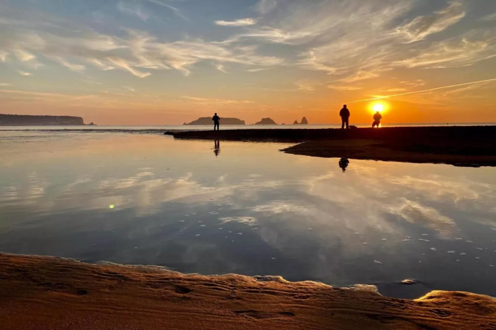 ESPIGO B 1-2-Gebieden zomer 1km