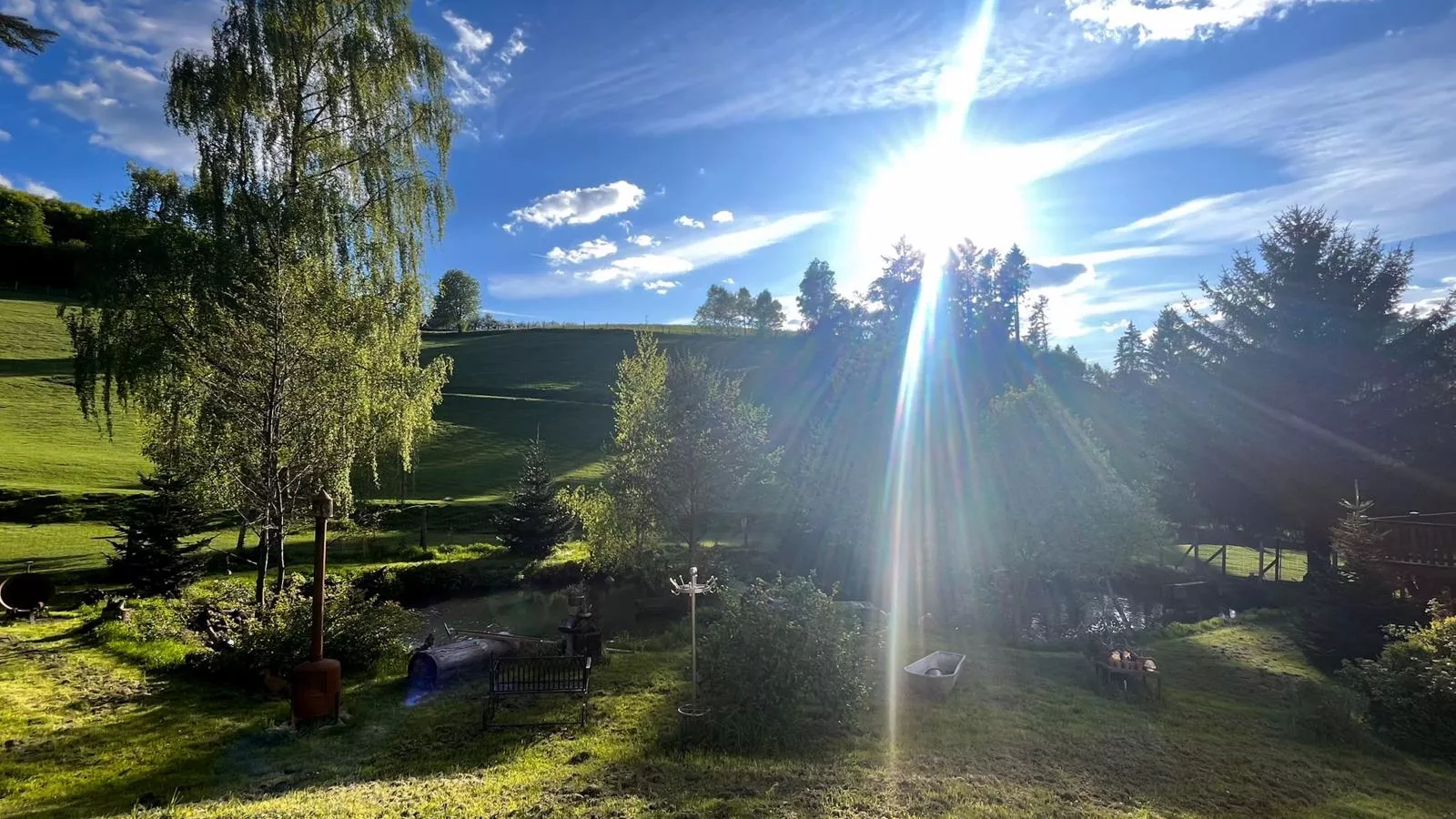 Am Damwildgehege I-Uitzicht zomer