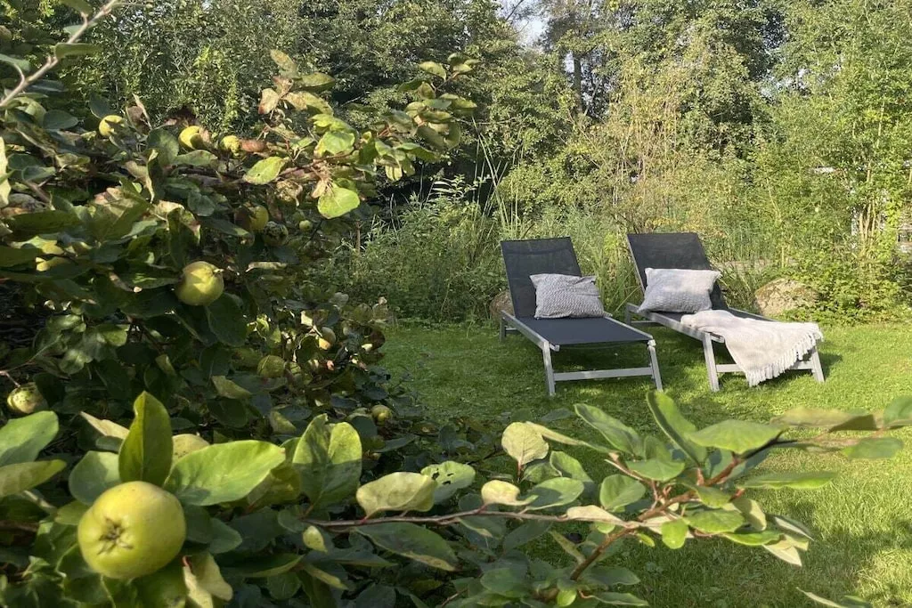 540779-Niet-getagd