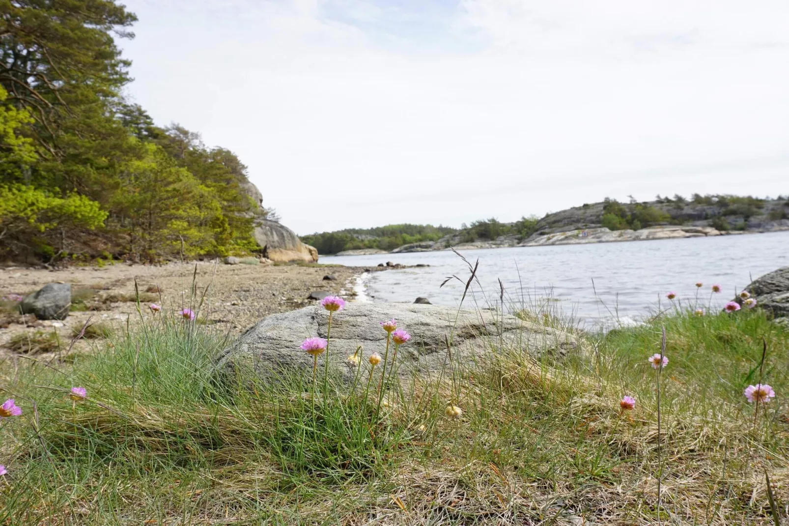 Rustig toevluchtsoord aan de kust op Oddo-Niet-getagd