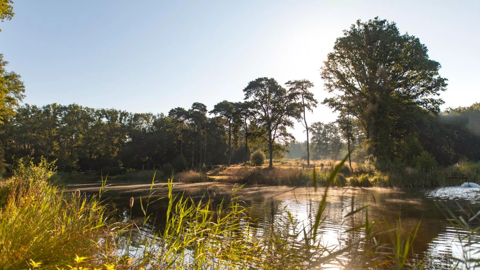 Woodlodge XL 588-Gebieden zomer 1km