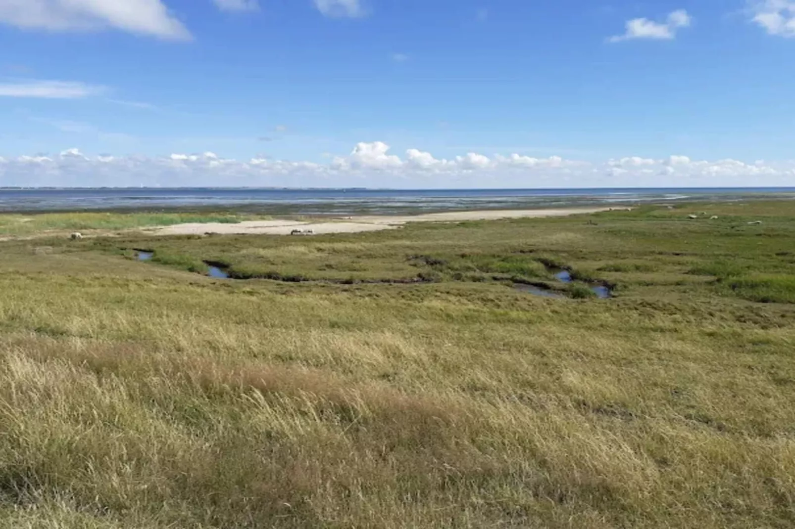 5 persoons vakantie huis in Rømø-By Traum-Waterzicht
