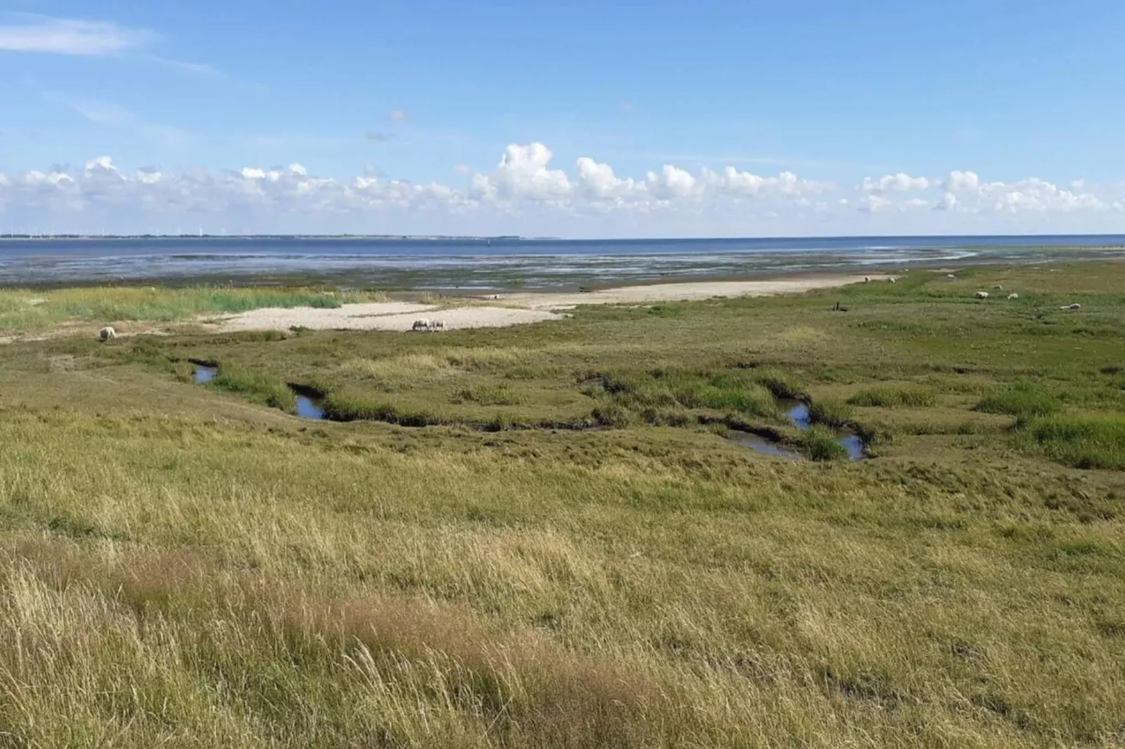 6 persoons vakantie huis in Rømø-Waterzicht