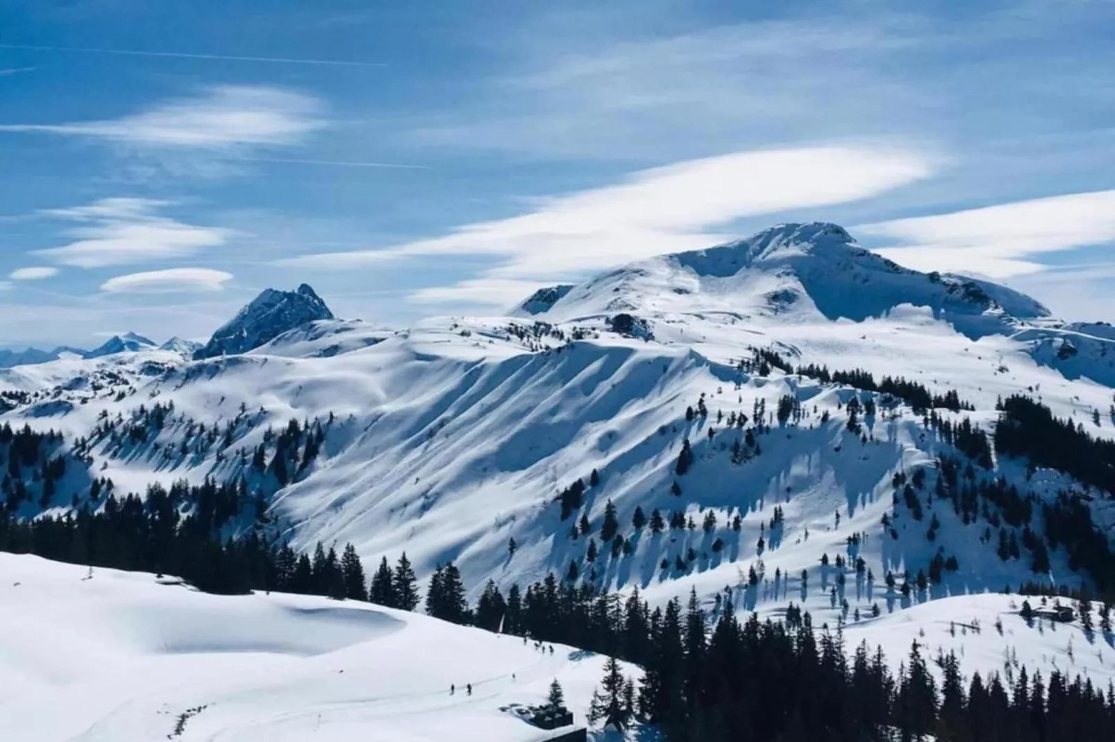 Apart Andrea - App 4 rechts-Gebied winter 20km