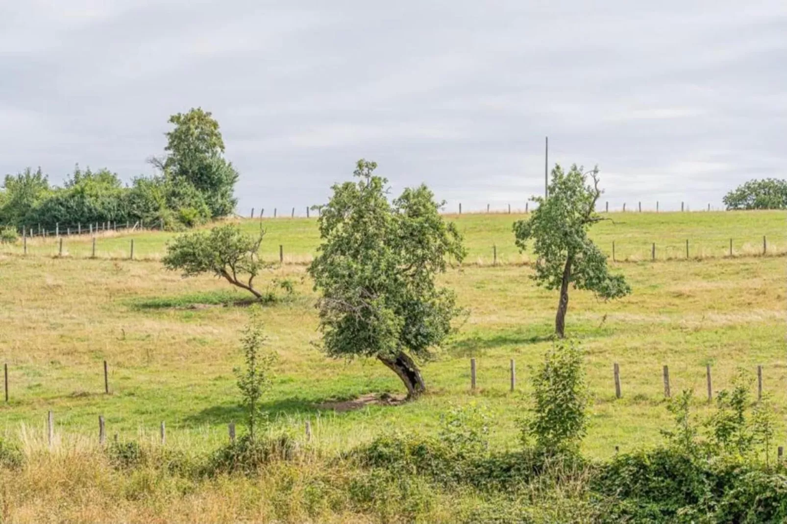 La Ferme Tirou-Gebieden zomer 5km