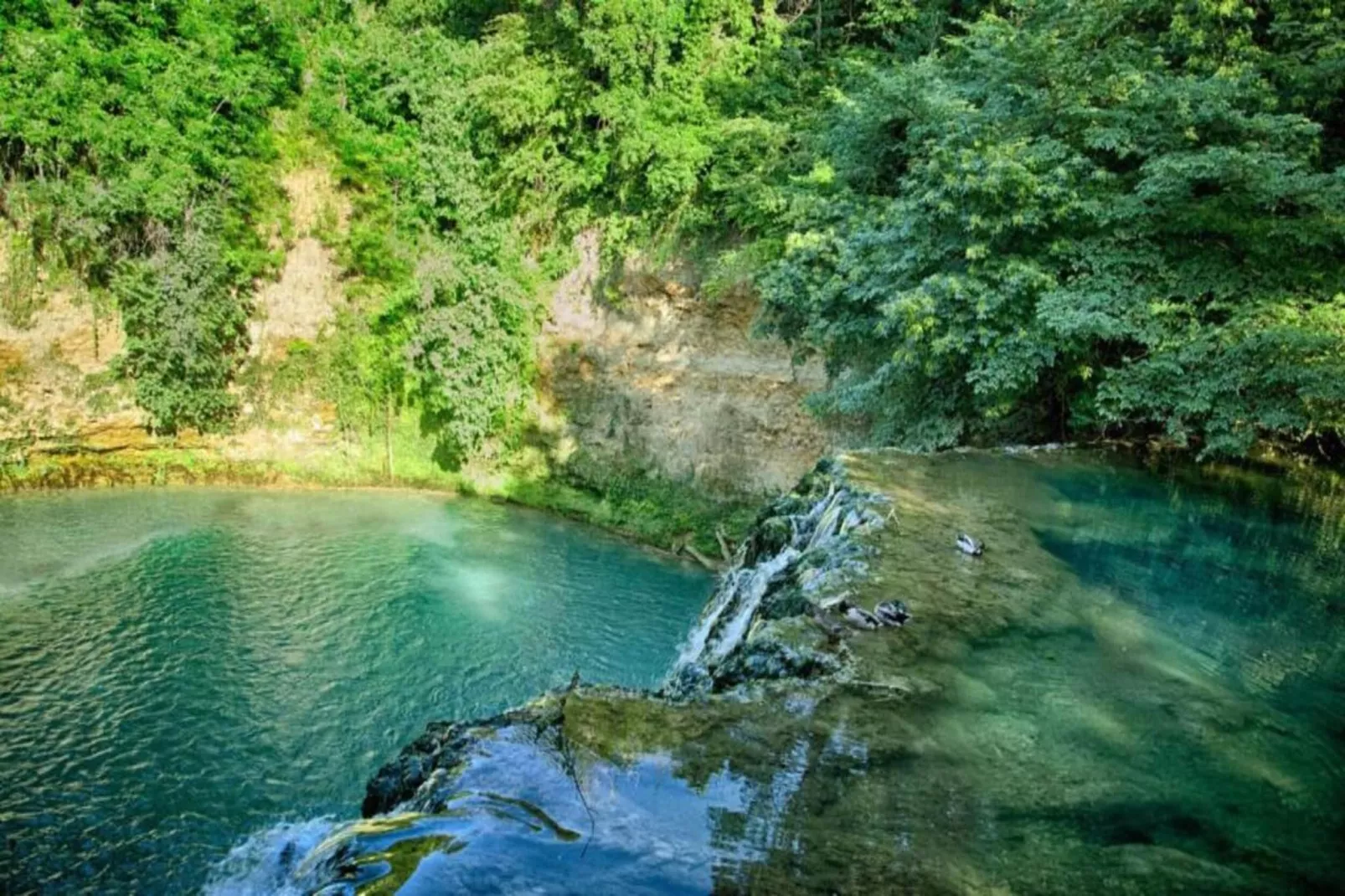 Pereboom-Gebieden zomer 20km