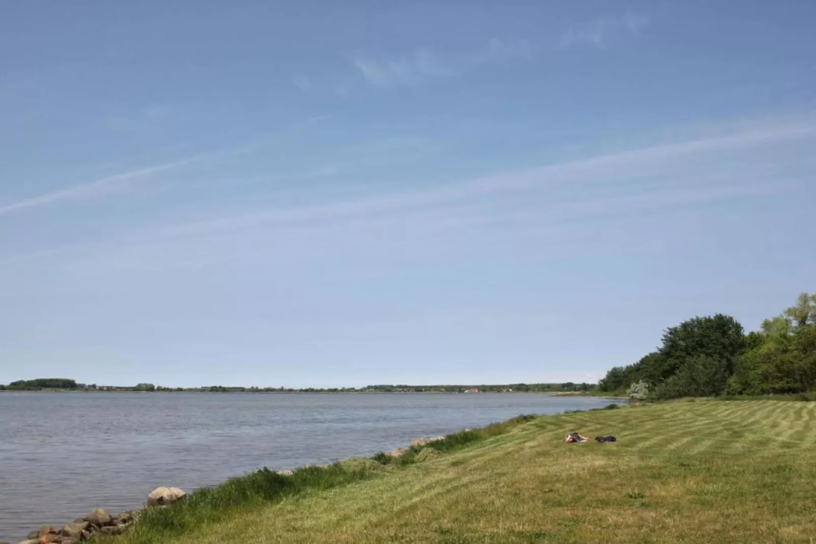 Lachmöwe 2-Gebieden zomer 20km