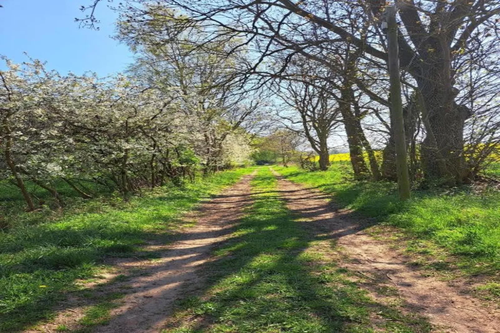 Alte Küche Gerdshagen-Gebieden zomer 20km