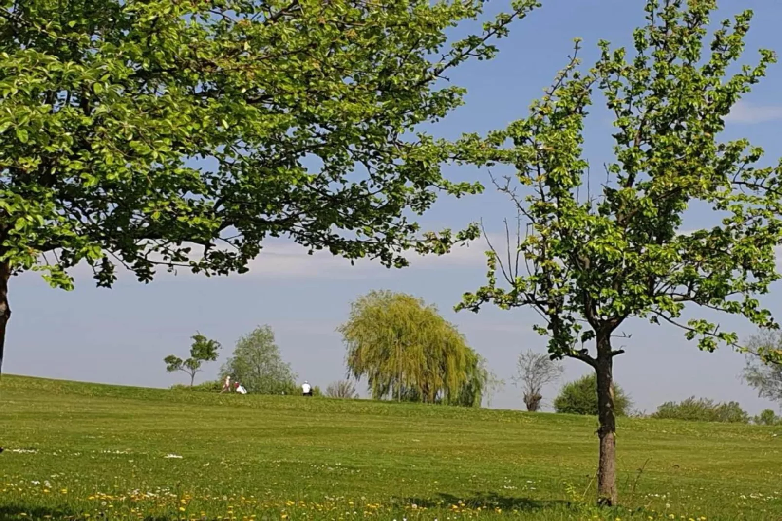 Meisdorf I-Gebieden zomer 5km