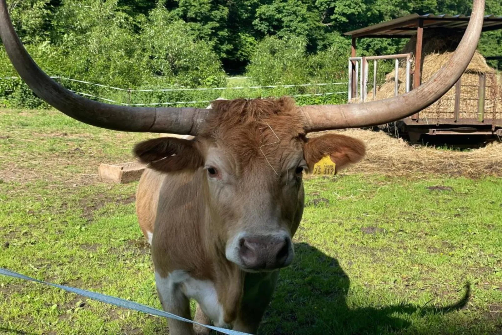 Holzhaus Ute-Gebieden zomer 20km