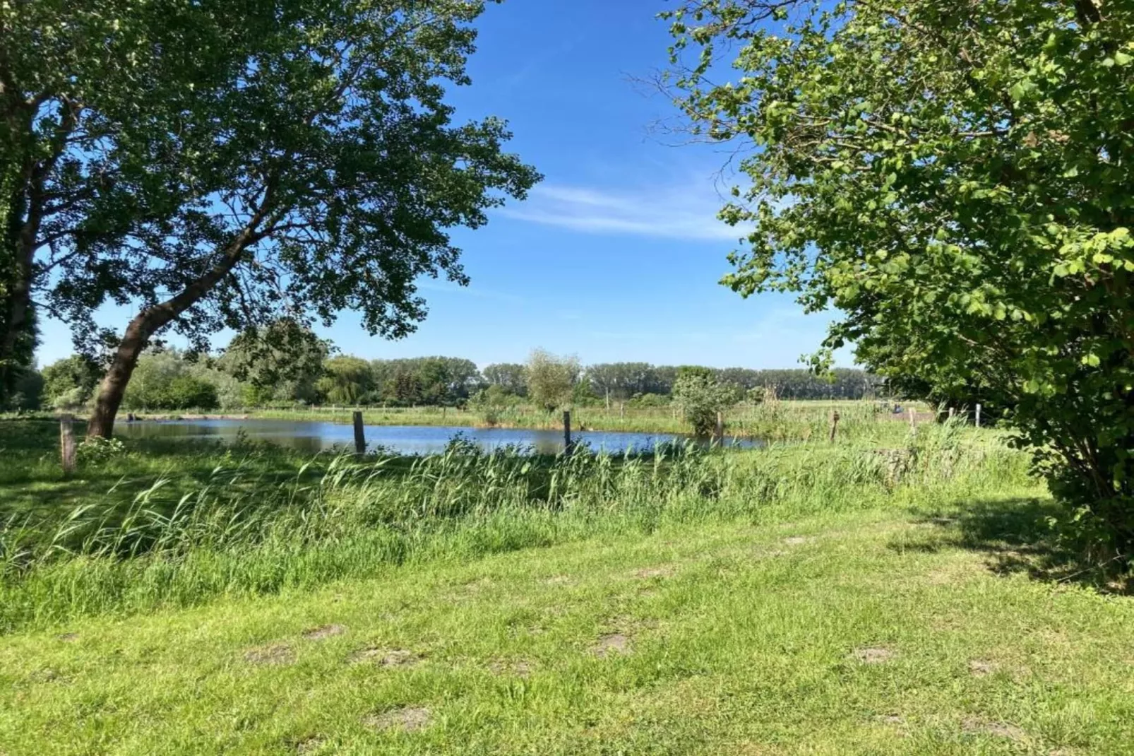Ferienhaus Storchenblick-Gebieden zomer 20km