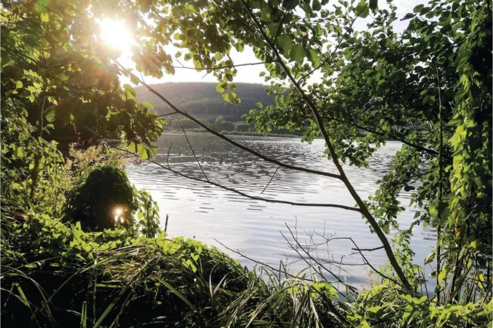 Im Teutoburger Wald-Gebieden zomer 5km