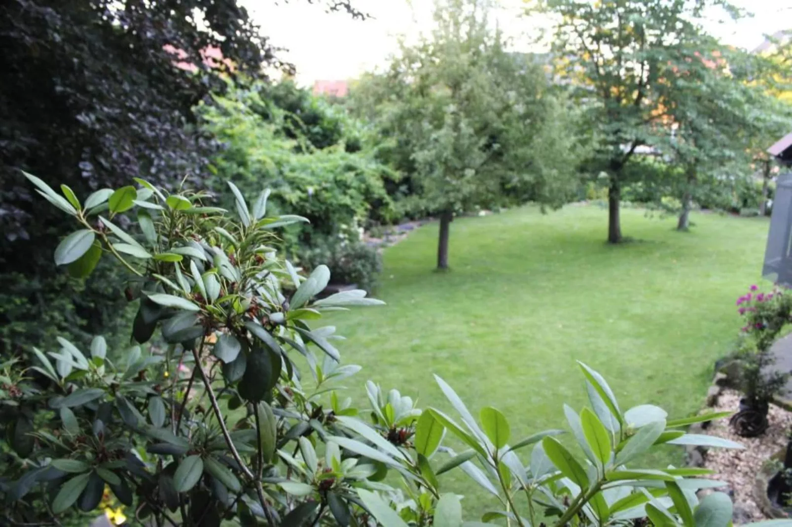 Ferienresort Bad Bentheim 9-Gebieden zomer 20km