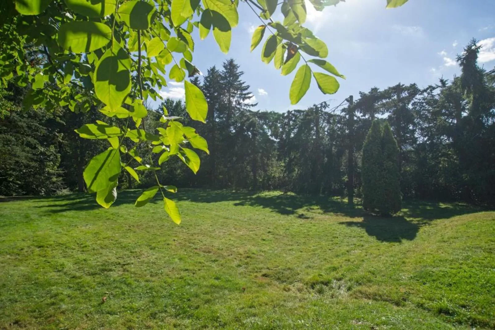 Resort Eifeler Tor 3-Gebieden zomer 5km
