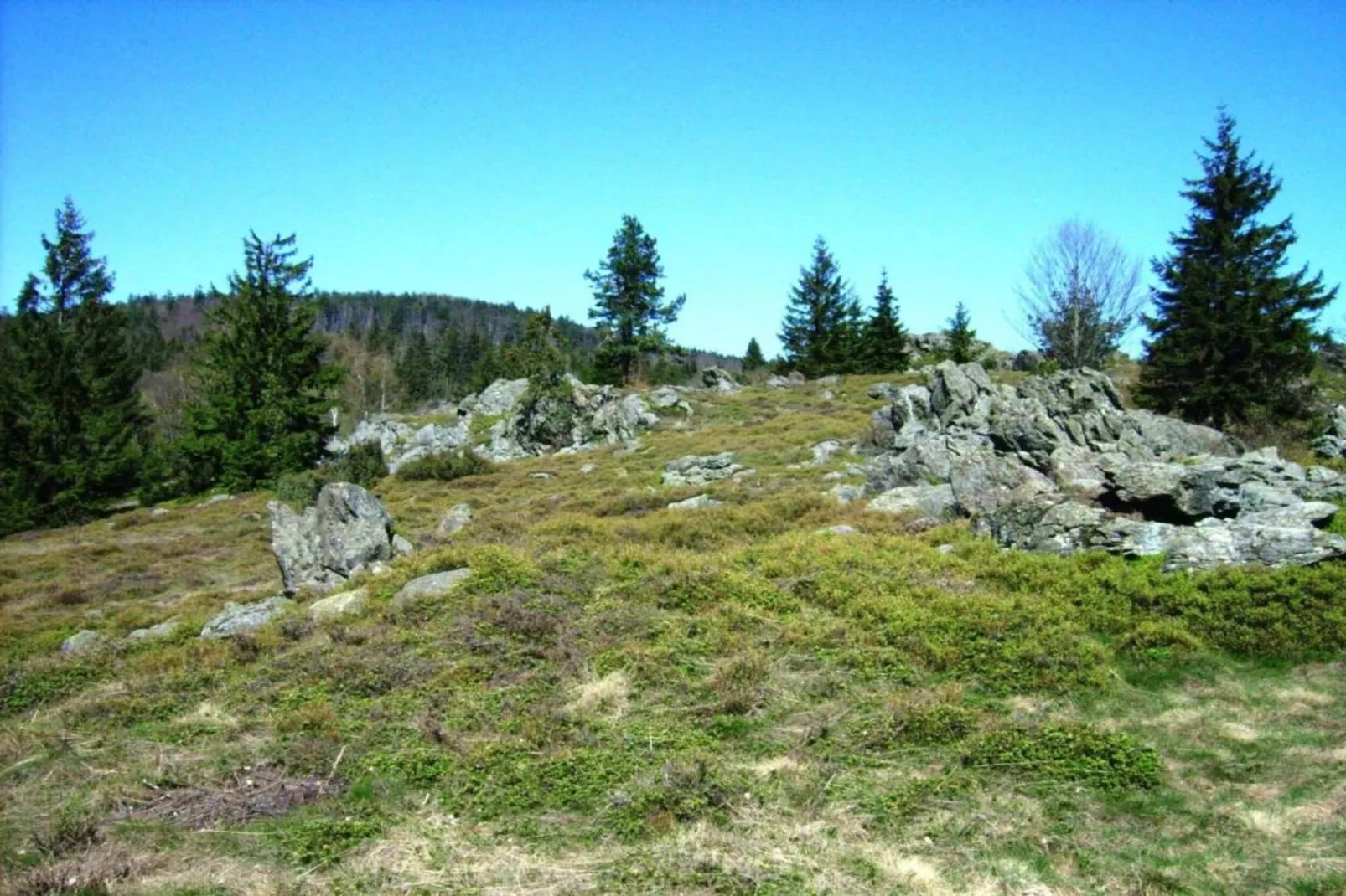 Bayerischer Wald-Gebieden zomer 20km