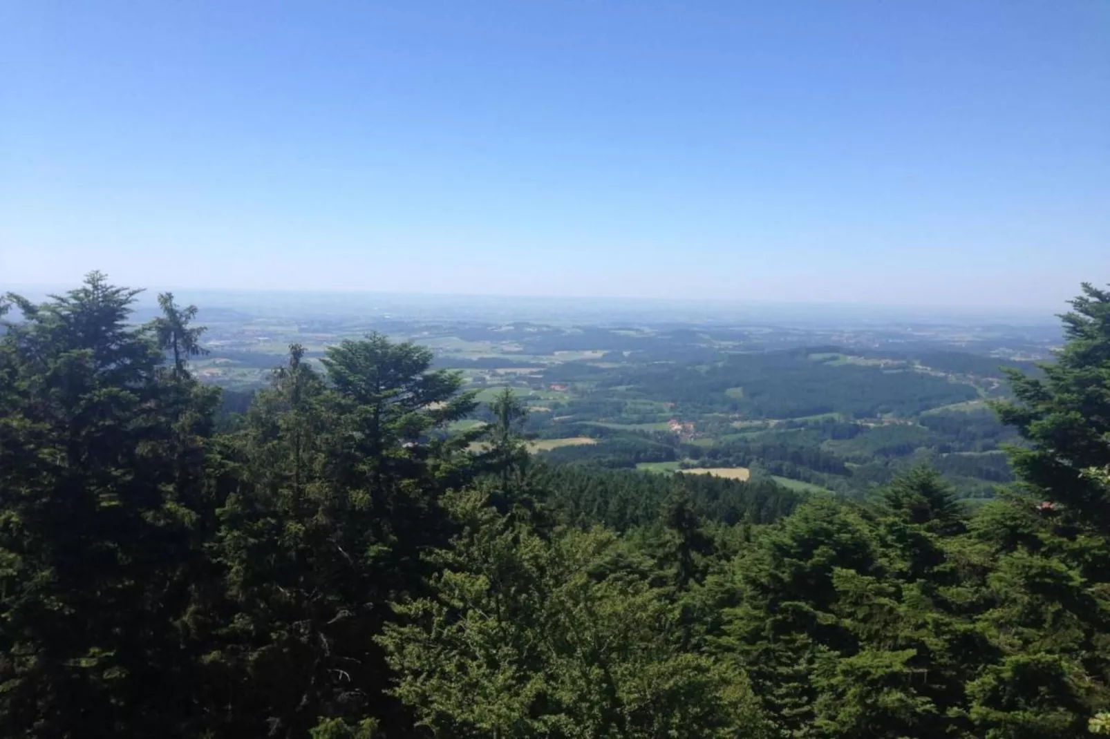 Bayerischer Wald-Gebieden zomer 20km
