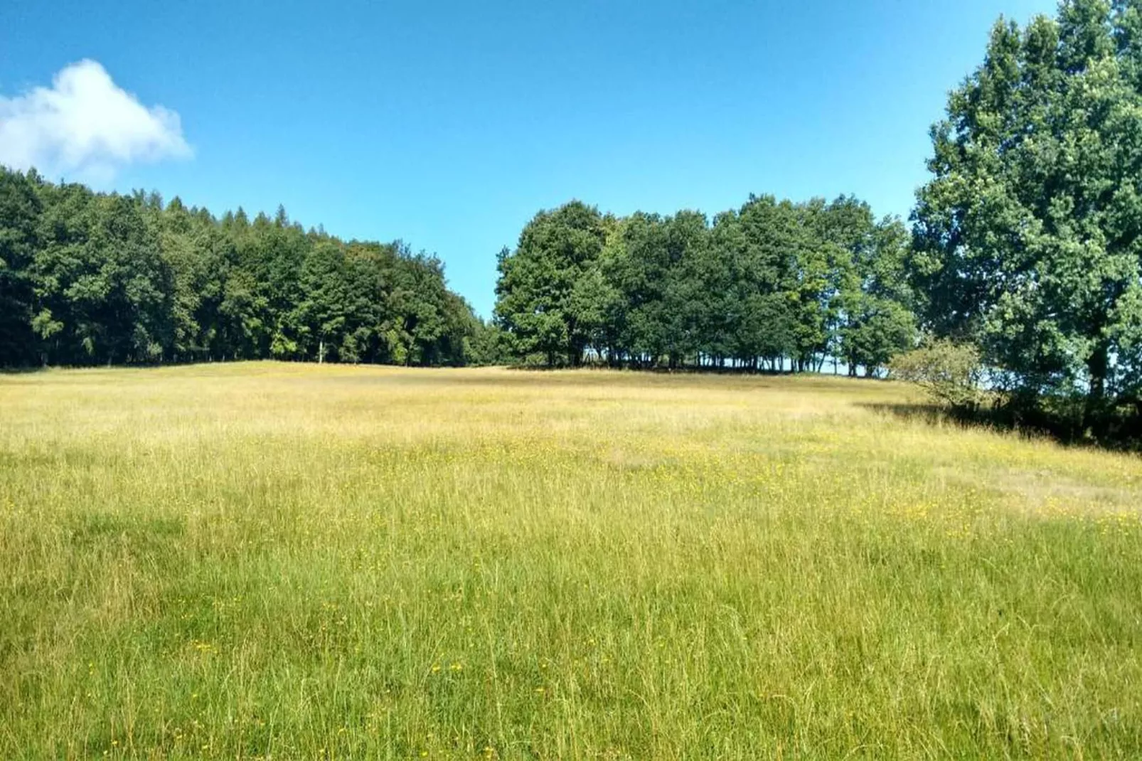 Fachwerkhaus Thüringen-Gebieden zomer 20km