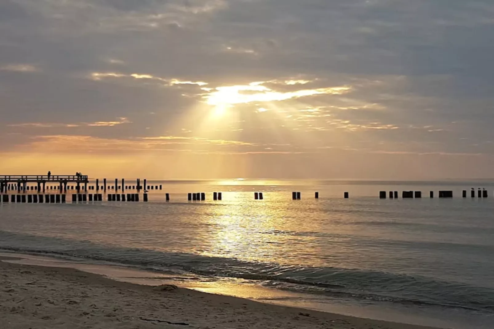 Ferienwohnung Zingst-Buhnen 24-Gebieden zomer 5km