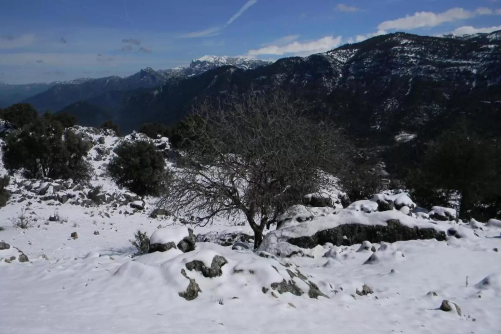 Carmela-Gebied winter 20km