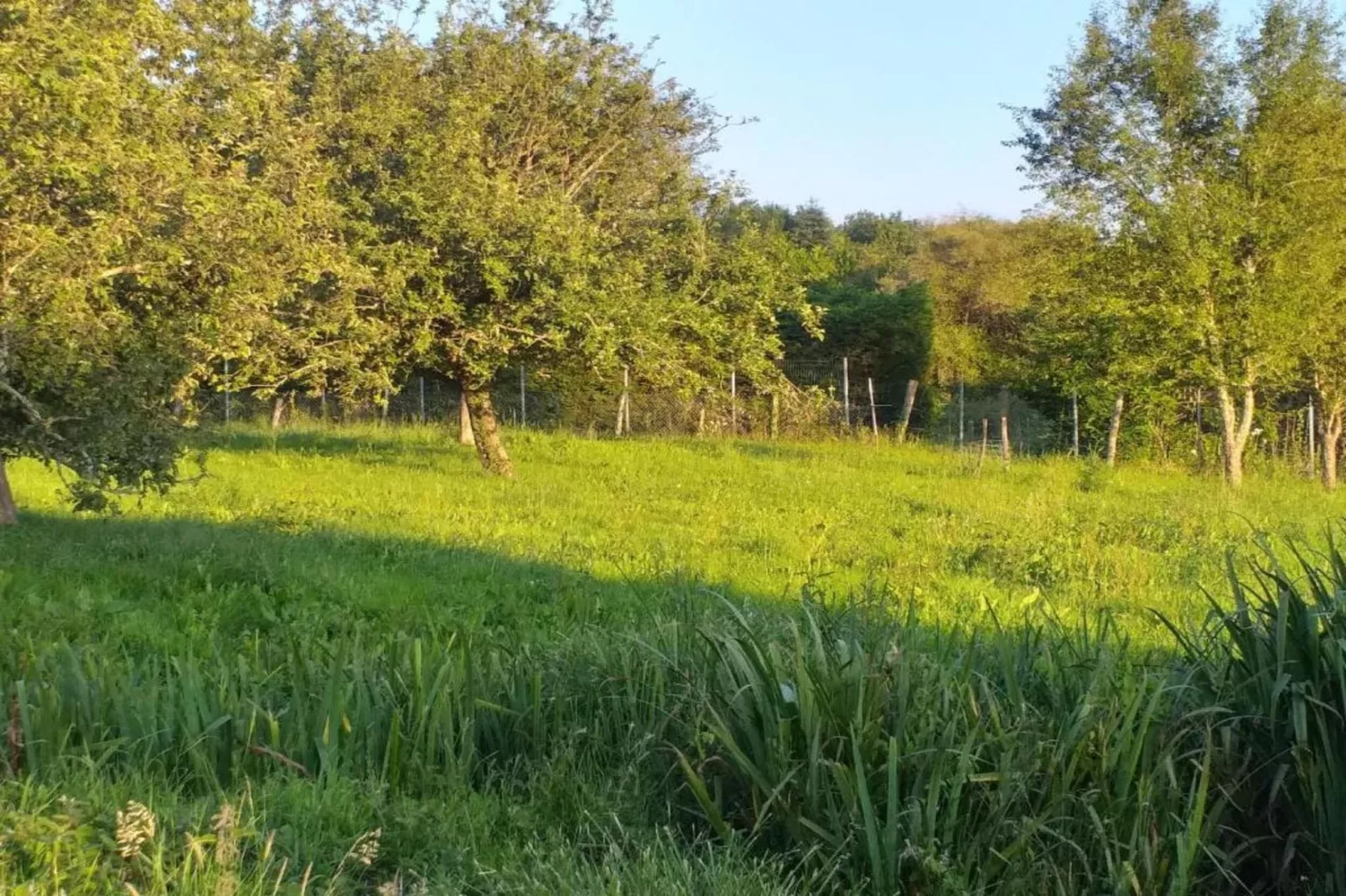 La Belle Cour-Gebieden zomer 5km