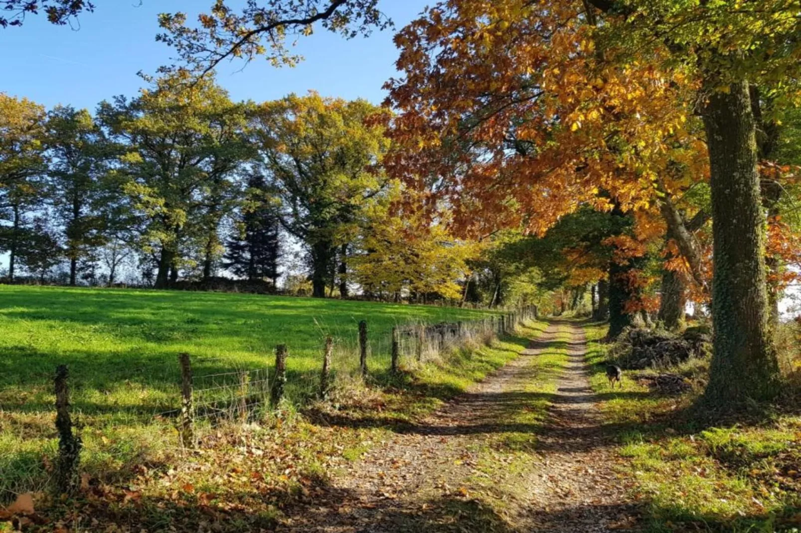 La Belle Vue-Gebieden zomer 5km