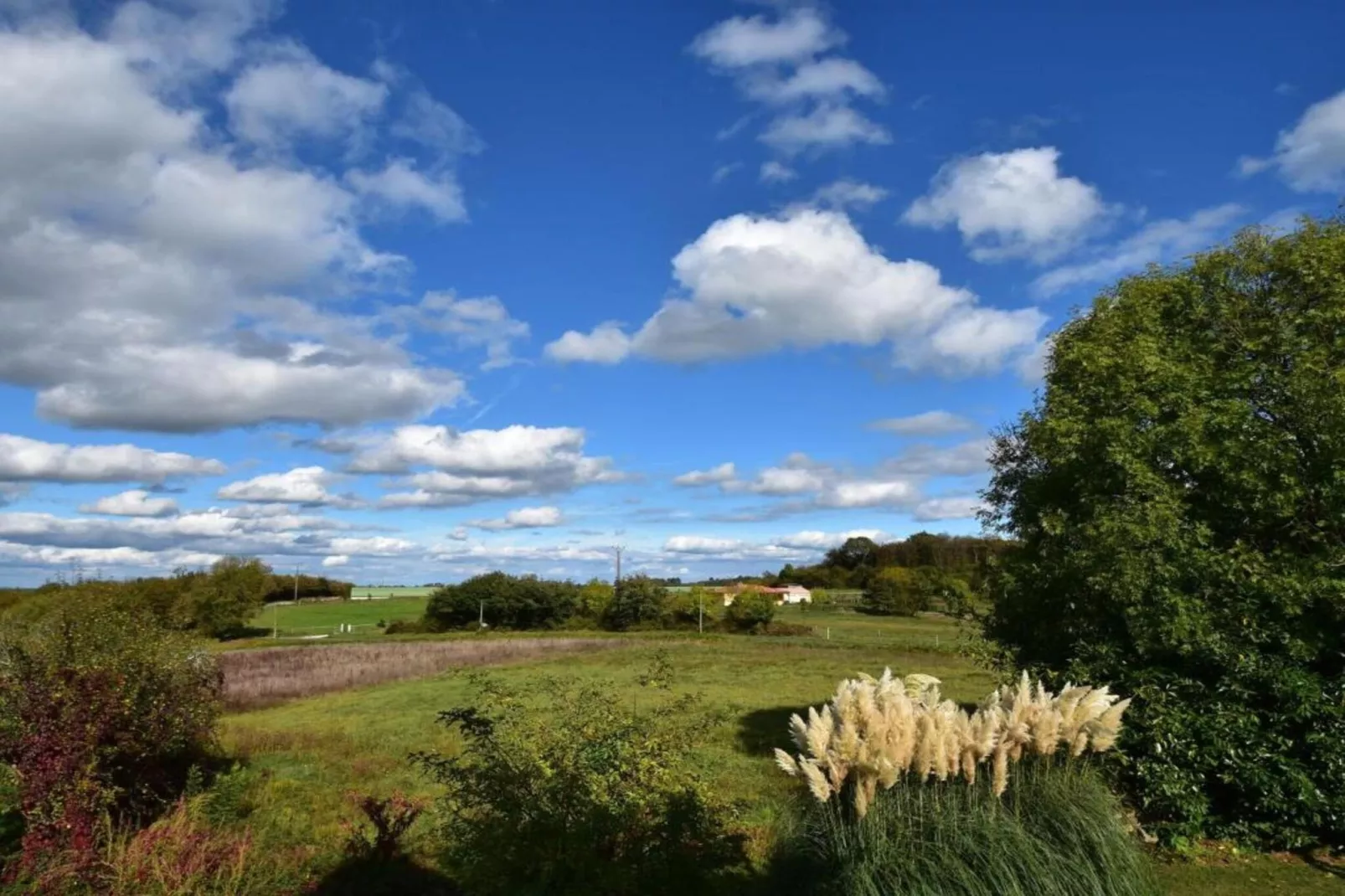 Maison de vacances Besse les Vitarelles 4 pers-Gebieden zomer 20km