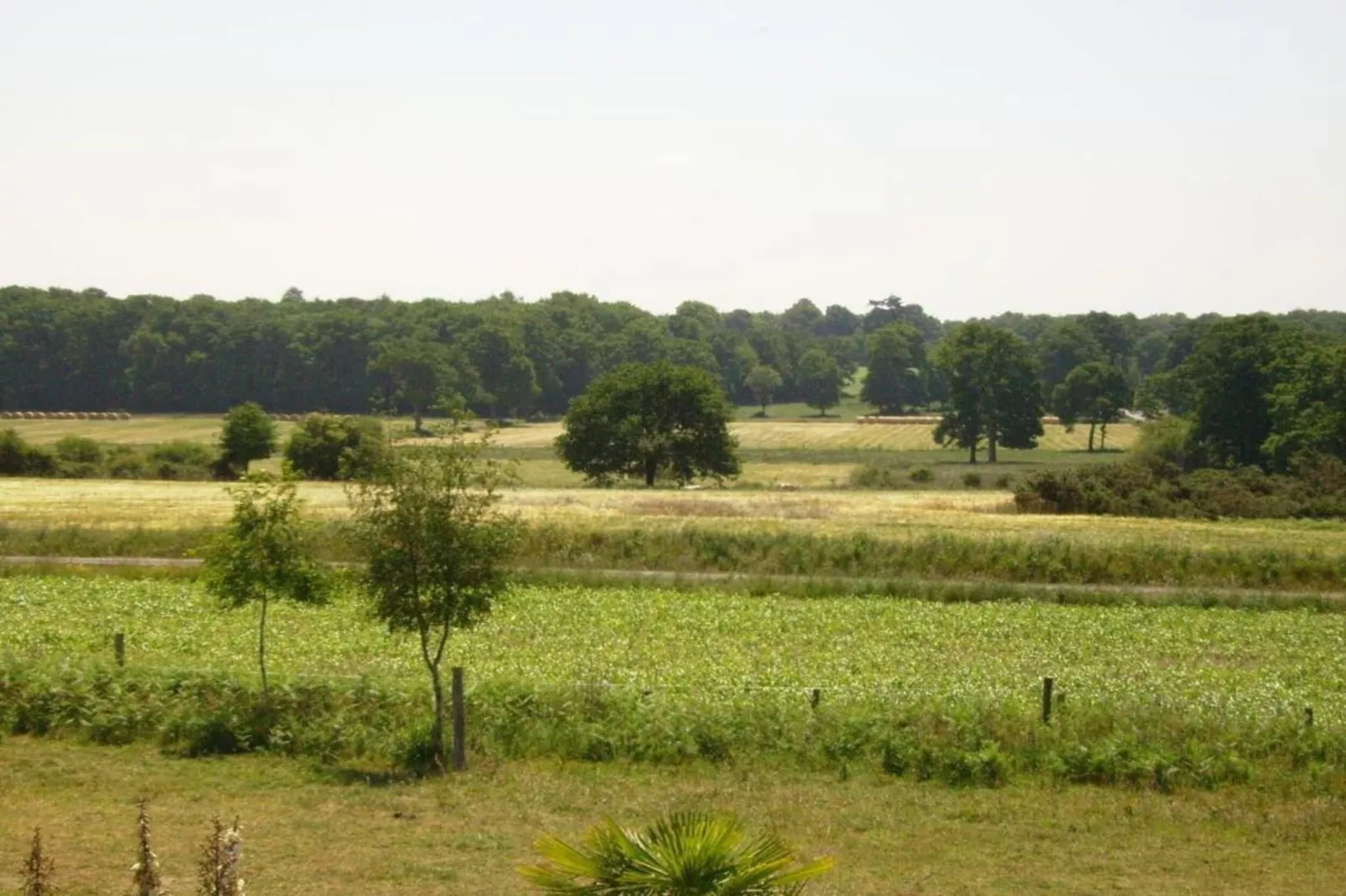 Résidence Le Domaine de l'Emeraude 3-Gebieden zomer 20km