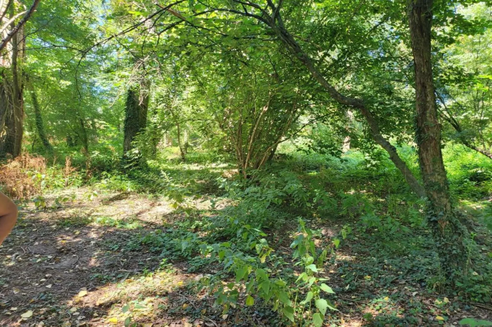 La Coquette-Gebieden zomer 20km