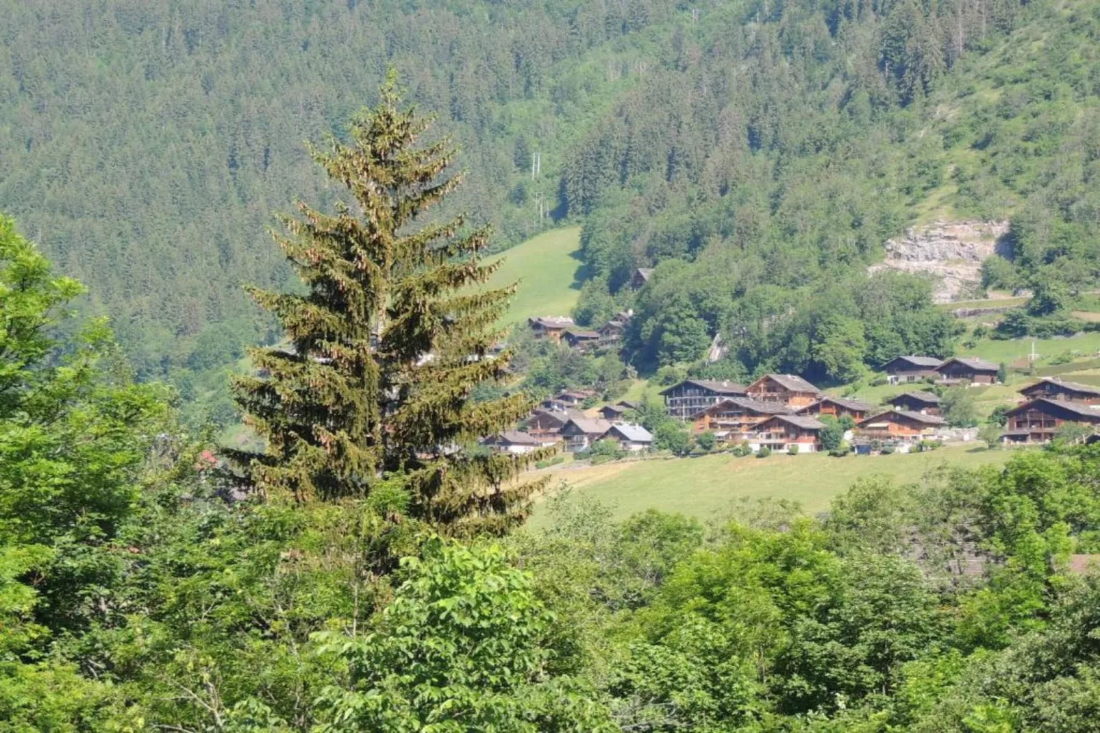 Résidence Le Buet 1-Gebieden zomer 20km