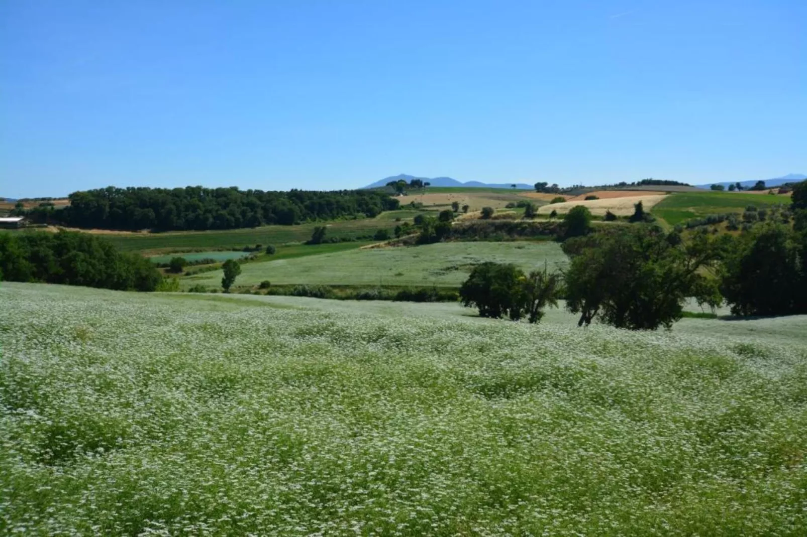 Luna Chiara-Gebieden zomer 20km