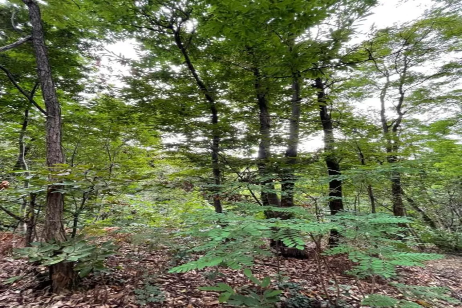 Le Do None Tre-Gebieden zomer 20km